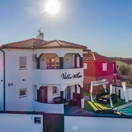 Complex White 普拉